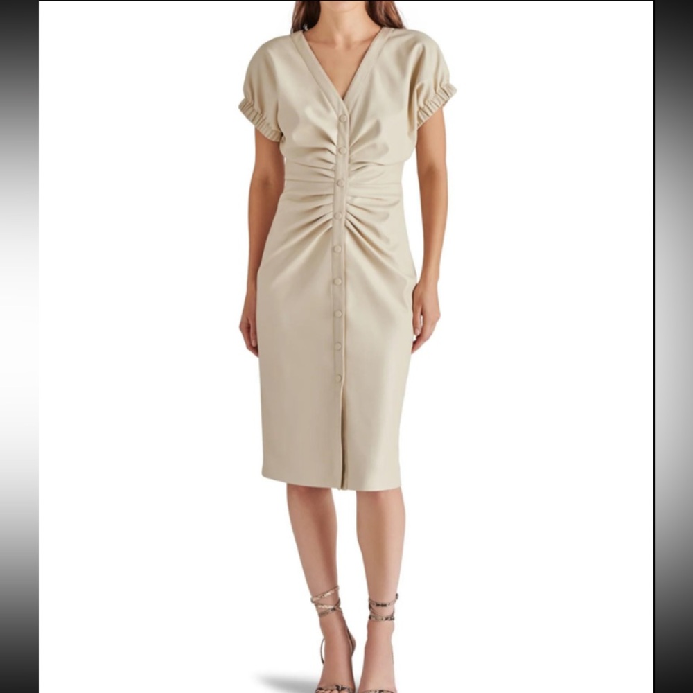 NWT Steve Madden Arin Faux Leather Dress in Bone